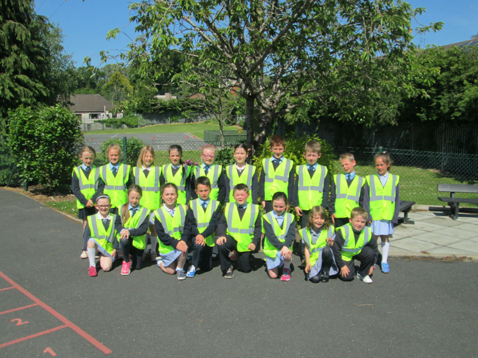Child Pedestrian Safety Training Scheme